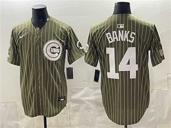 Men%27s Chicago Cubs #14 Ernie Banks Pinstripe Olive 2026 Armed Forces Day Salute To Service Stitched Jersey Dzhi->chicago cubs->MLB Jersey