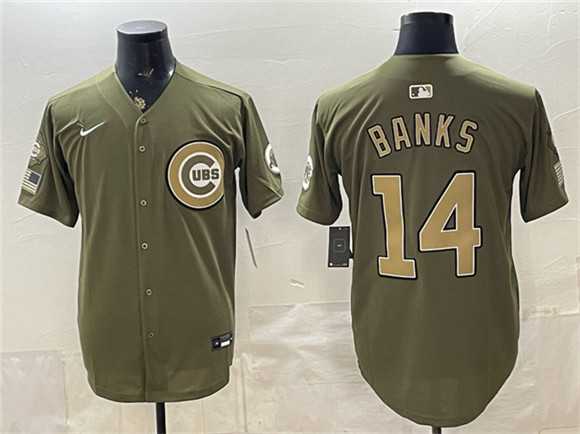 Men%27s Chicago Cubs #14 Ernie Banks Royal Olive 2026 Armed Forces Day Salute To Service Stitched Jersey Dzhi->chicago cubs->MLB Jersey