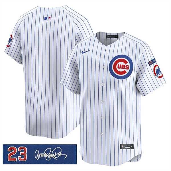 Men%27s Chicago Cubs Blank White Pinstripe %27Ryne Sandberg Tribute%27 Vapor Limited V3 Stitched Jersey Dzhi->houston astros->MLB Jersey