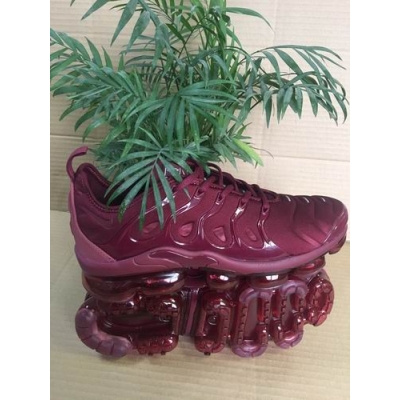 cheap Nike Air VaporMax Plus shoes from china->nike air max->Sneakers