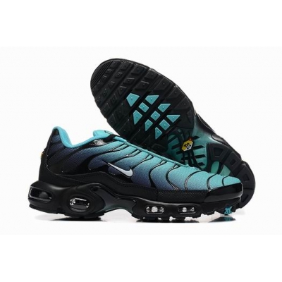 china cheap Nike Air Max Plus TN shoes->nike air jordan->Sneakers