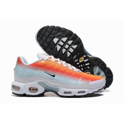 china cheap Nike Air Max Plus TN shoes->nike air max tn->Sneakers