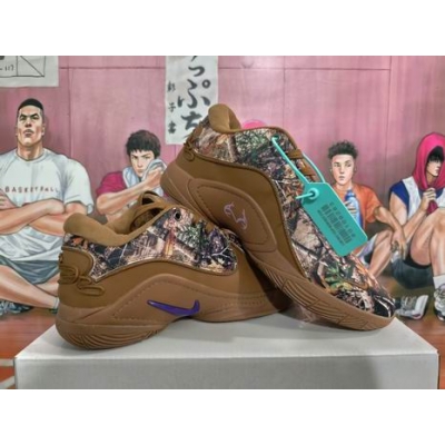 cheap Nike Lebron james shoes wholesale in china->nike series->Sneakers