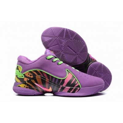 cheap Nike Lebron james shoes wholesale in china->nike series->Sneakers