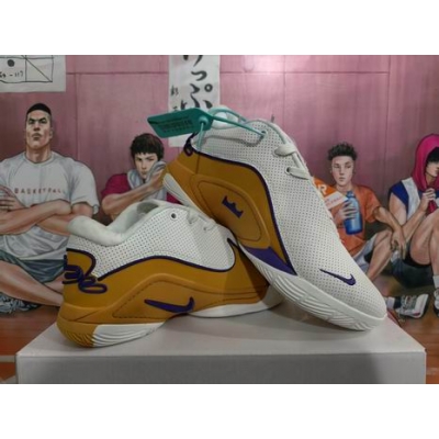 cheap Nike Lebron james shoes wholesale in china->nike series->Sneakers