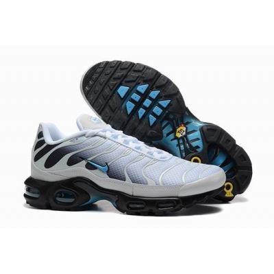 bulk wholesale Nike Air Max Plus TN men shoes->nike air max tn->Sneakers