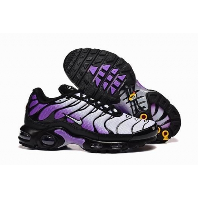 china cheap Nike Air Max TN Plus shoes free shipping->nike air max tn->Sneakers