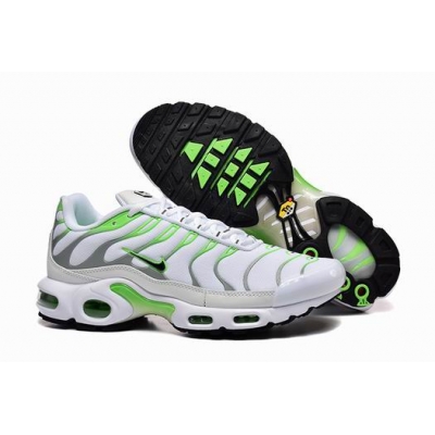 china cheap Nike Air Max TN Plus shoes free shipping->nike air max tn->Sneakers