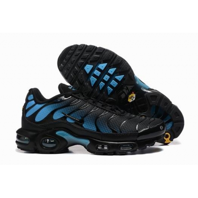 china cheap Nike Air Max TN Plus shoes free shipping->nike air max tn->Sneakers