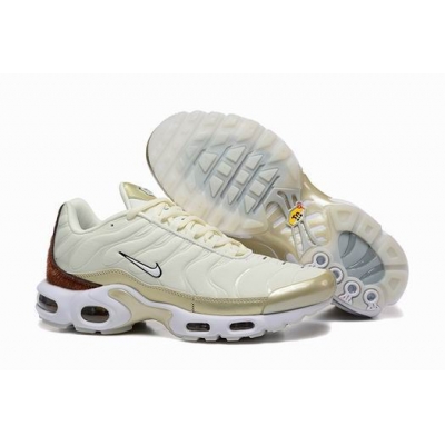 china cheap Nike Air Max TN Plus shoes free shipping->nike air max tn->Sneakers