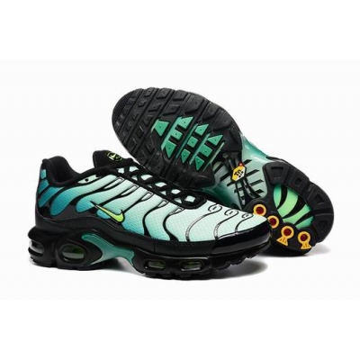 china cheap Nike Air Max TN Plus shoes free shipping->nike air max tn->Sneakers