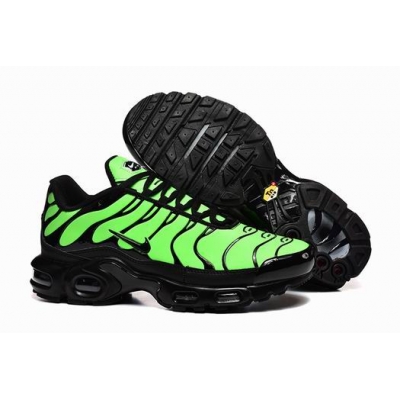 china cheap Nike Air Max TN Plus shoes free shipping->nike air max tn->Sneakers