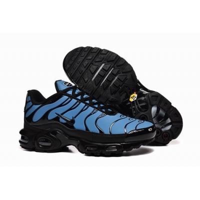 china cheap Nike Air Max TN Plus shoes free shipping->nike air max tn->Sneakers