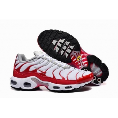china cheap Nike Air Max TN Plus shoes free shipping->nike air max tn->Sneakers