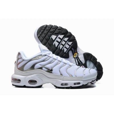 china cheap Nike Air Max TN Plus shoes free shipping->nike air max tn->Sneakers