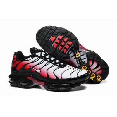 china cheap Nike Air Max TN Plus shoes free shipping->nike air max tn->Sneakers