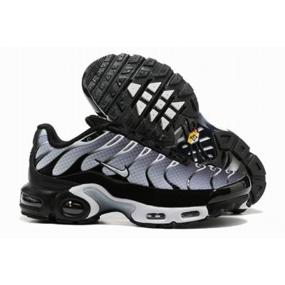 china cheap Nike Air Max TN Plus shoes free shipping->nike air max tn->Sneakers