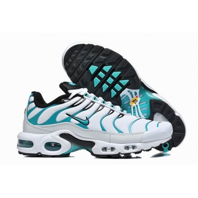china cheap Nike Air Max Plus TN  shoes->nike air max tn->Sneakers